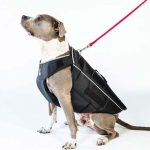 Comfy Recovery Padded Wrap Non Compression, Dog cone for body/torso/chest XS